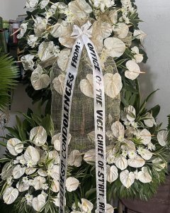 White peace Sympathy
