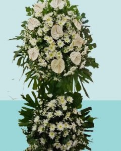 Thoughts and Prayers